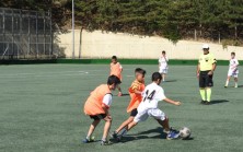 Bu turnuvanın kaybedeni yok