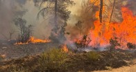 OGM verileri: Bir haftada 334 yangın yaşandı