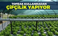 Toprak kullanmadan çiftçilik yapıyor