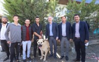 Çoban köpekleri İnegöl’de yarıştı