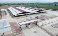 İnegöl’de hayvan pazarı tedbiren karantinaya alındı