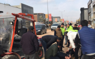 Karşıya geçerken canından oluyordu