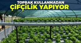 Toprak kullanmadan çiftçilik yapıyor
