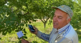 Ağaca bıraktığı not çiftçiyi duygulandırdı