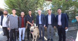 Çoban köpekleri İnegöl’de yarıştı