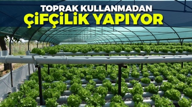 Toprak kullanmadan çiftçilik yapıyor