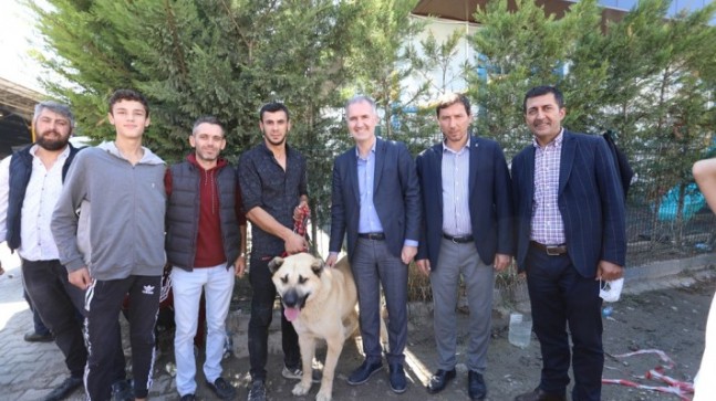 Çoban köpekleri İnegöl’de yarıştı