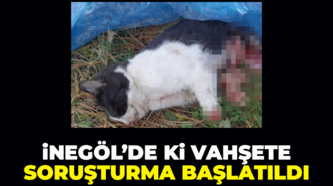 İnegöl’de ki vahşete soruşturma başlatıldı