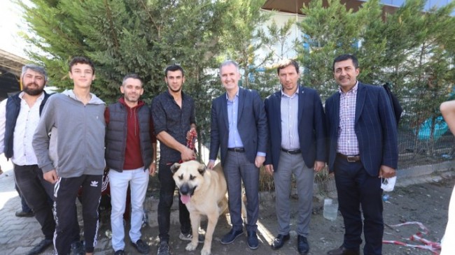 Çoban köpekleri İnegöl’de yarıştı