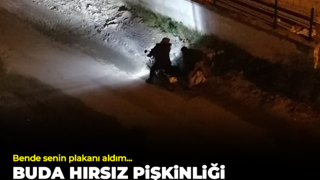 Buda hırsız pişkinliği