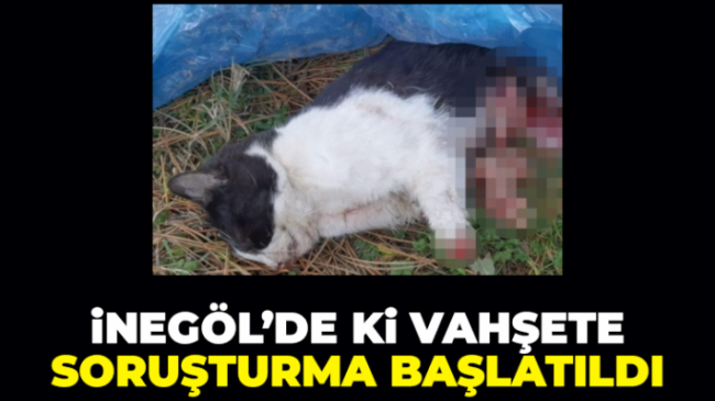 İnegöl’de ki vahşete soruşturma başlatıldı